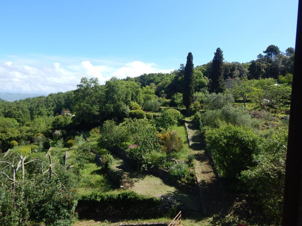 I Lecci Bed & Breakfast Lerici Eksteriør bilde