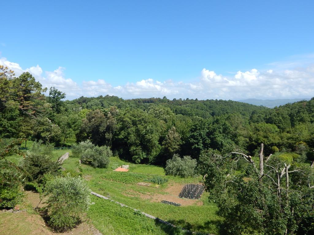 I Lecci Bed & Breakfast Lerici Eksteriør bilde