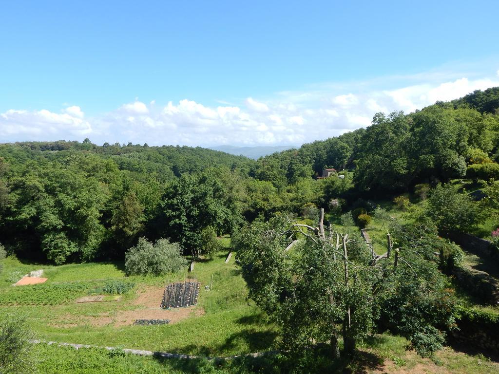 I Lecci Bed & Breakfast Lerici Eksteriør bilde
